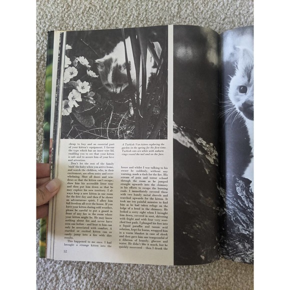 The Treasury of Kittens by Marjorie Hudson (1973) Vintage Hardcover Book - Picture 4 of 7